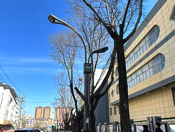 Five-Kilometer Road Lighting: Municipal Street Lights Illuminate the New Nightscape of Xi'an, the Ancient Capital