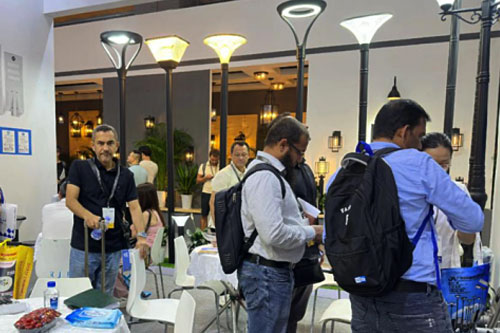 The German customer has ordered an additional 120 sets of garden lights and requested samples of 4 new styles of solar-powered garden lights