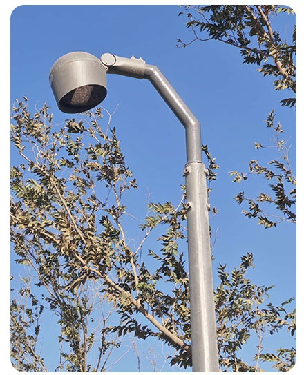 municipal-road-lighting.jpg