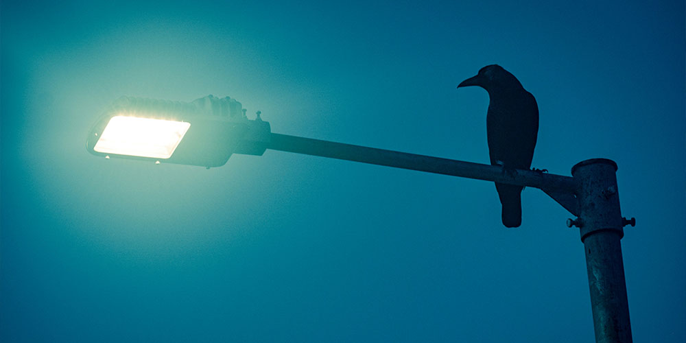 Street light pole buying guide showing height material and specification selection